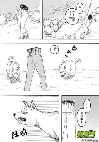 第369页图