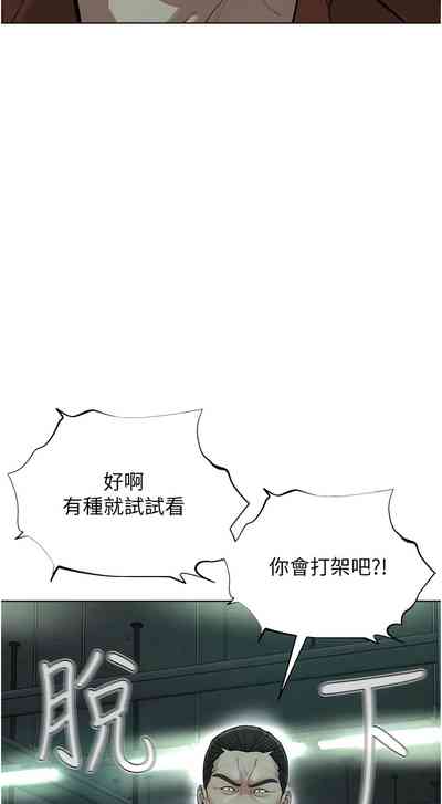 第233頁圖