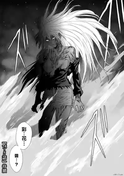 第325页图