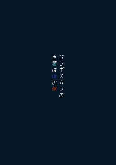 第17页图