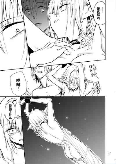 第17页图
