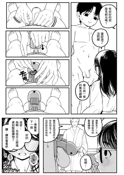 第13页图