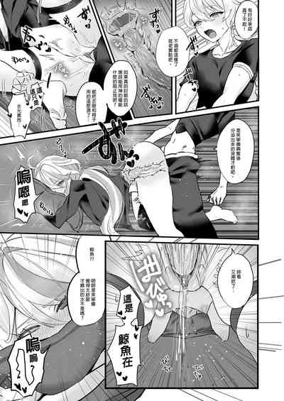 第17页图