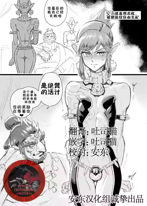 Cage of the Zonai| 左纳乌之笼图