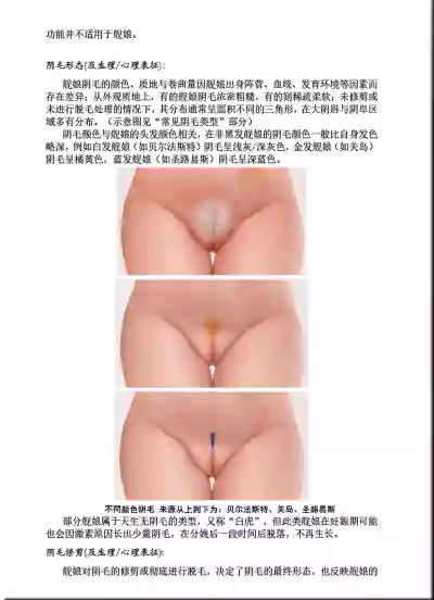 第17页图