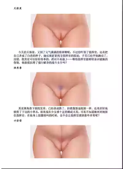 第21页图