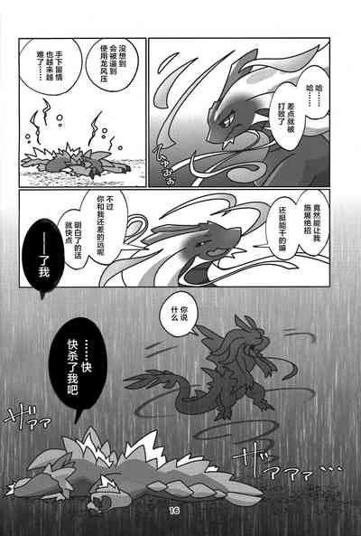 第17页图