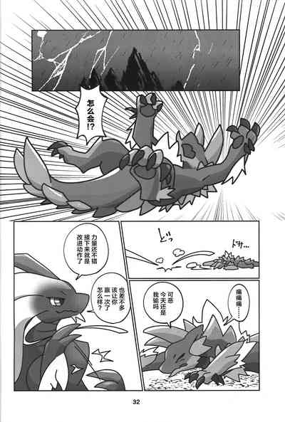 第33页图