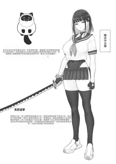 第33页图