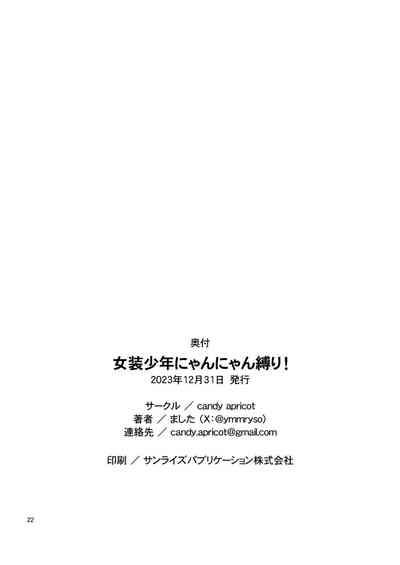 第21頁圖