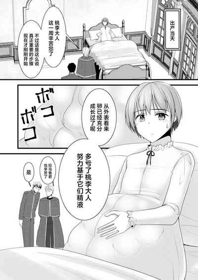 第29頁圖