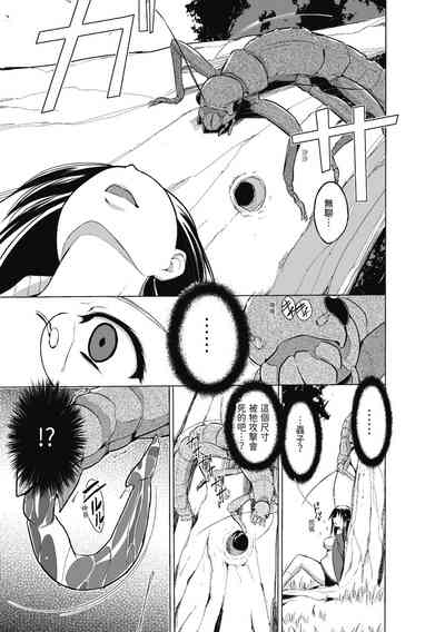 第13頁圖