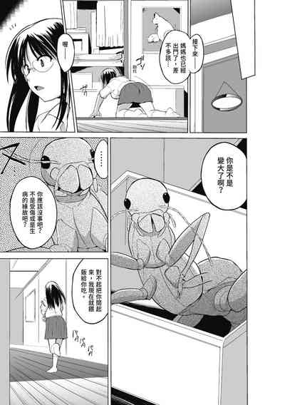 第29頁圖