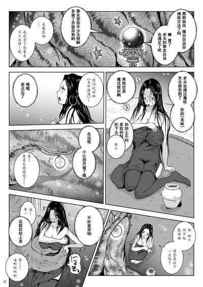 第17页图