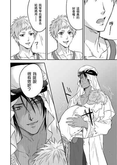 第521頁圖