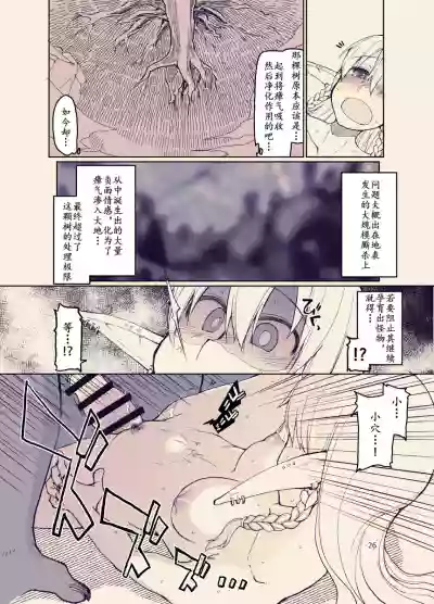 第25页图