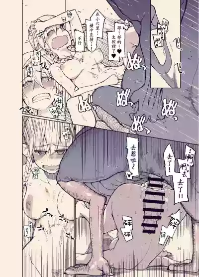 第33页图