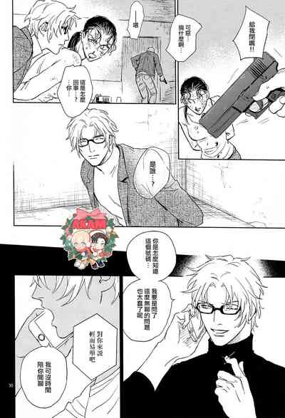 第29頁圖