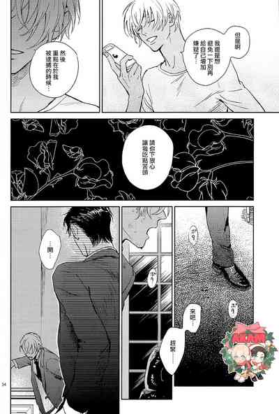 第33頁圖