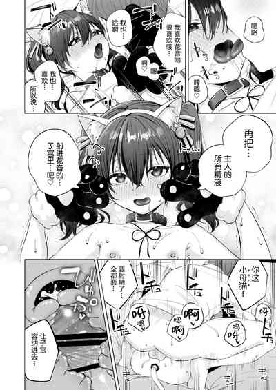 第41頁圖