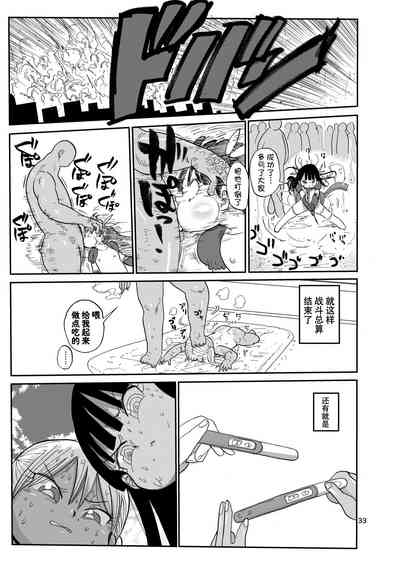 第33頁圖