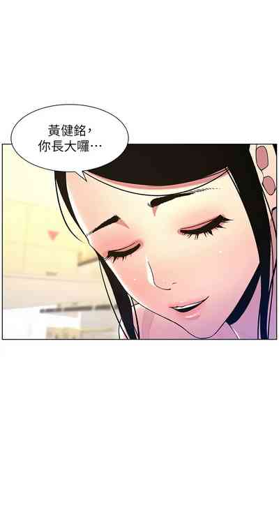 第233頁圖