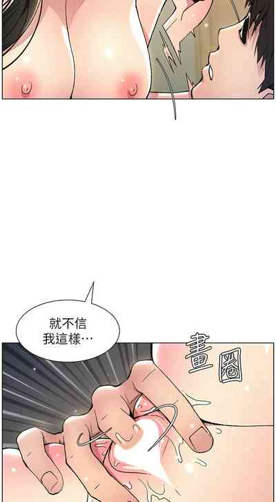 第317頁圖
