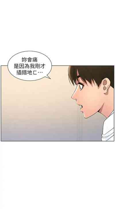 第361頁圖