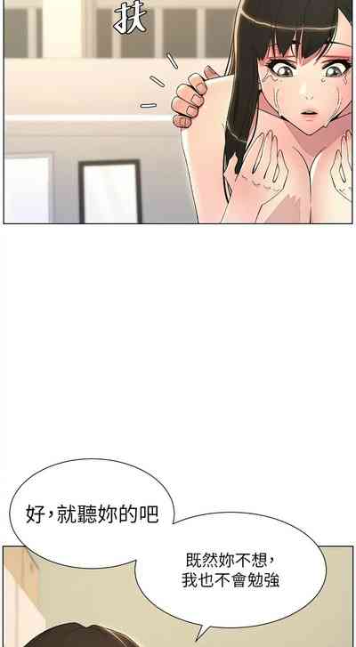 第365頁圖