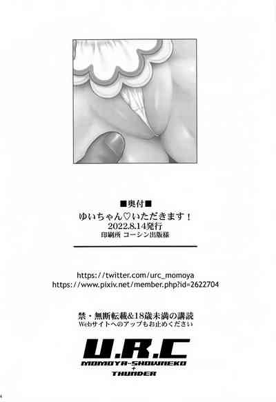 第33頁圖