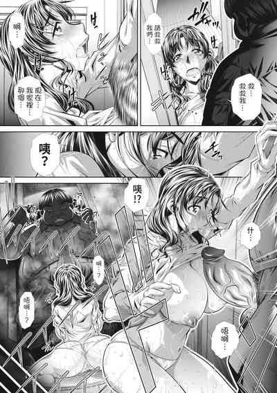 第81頁圖