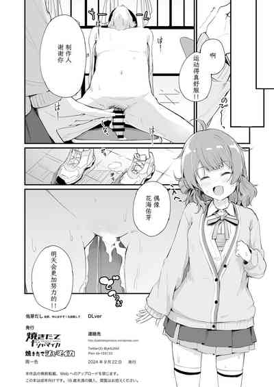 第17页图