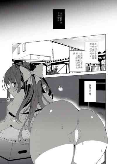 第17页图