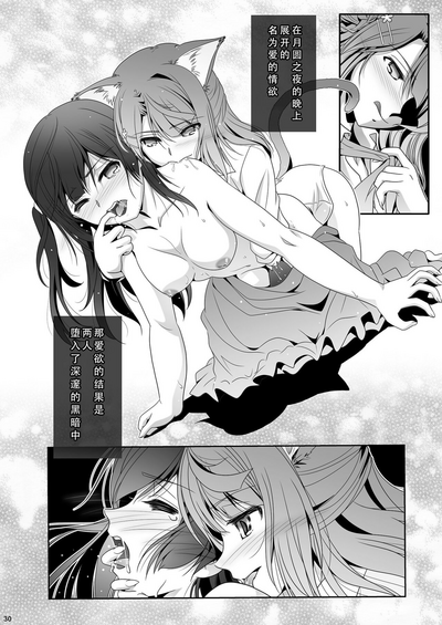 第29页图