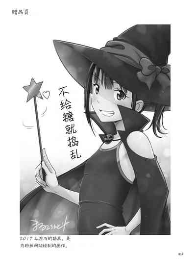第17页图