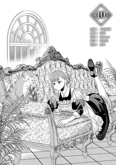 第241頁圖