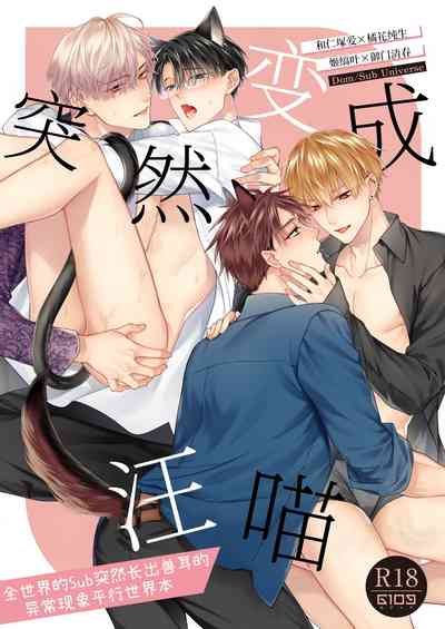 第1页图