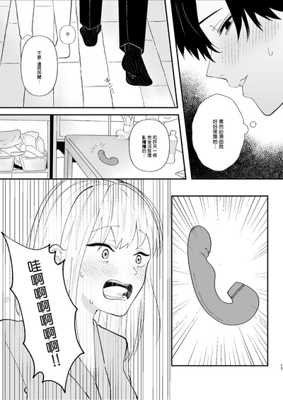 第17页图