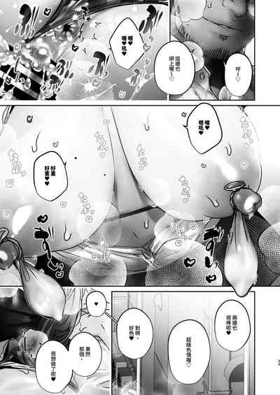 第33页图