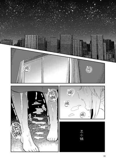 第33頁圖