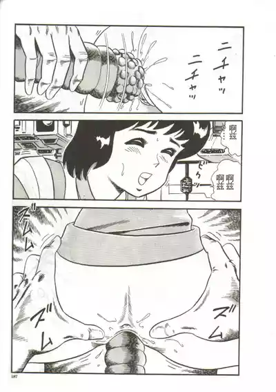 第185頁圖