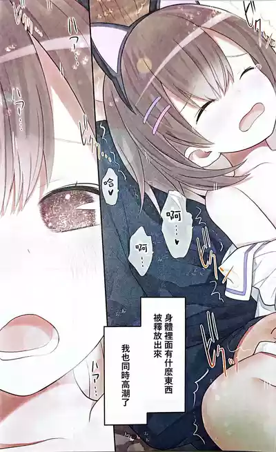 第29頁圖