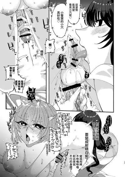 第17頁圖