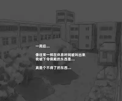 第29页图