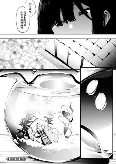 第205頁圖