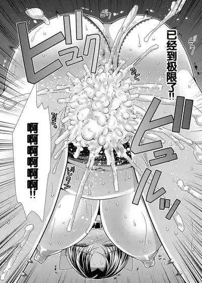 第113頁圖