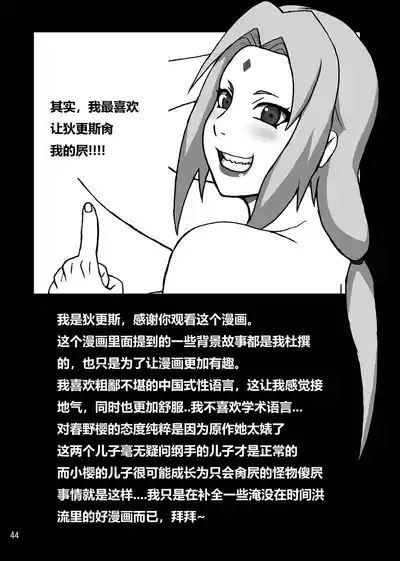 第45页图