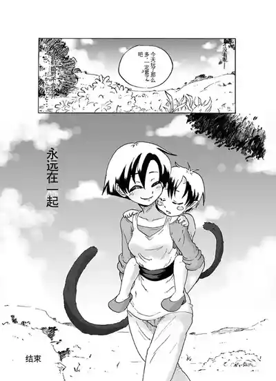 第17頁圖