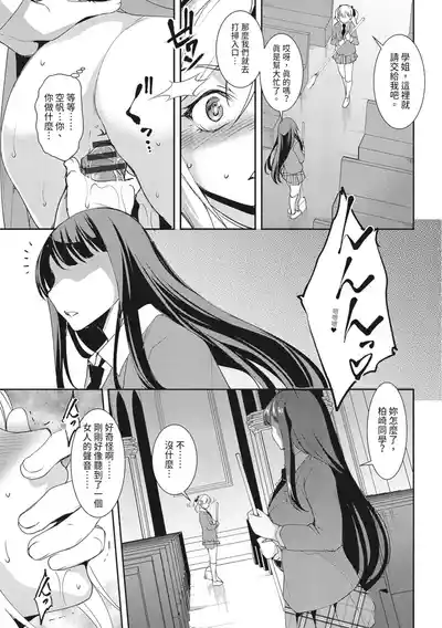 第81頁圖