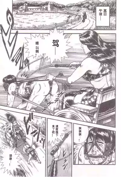 第13頁圖